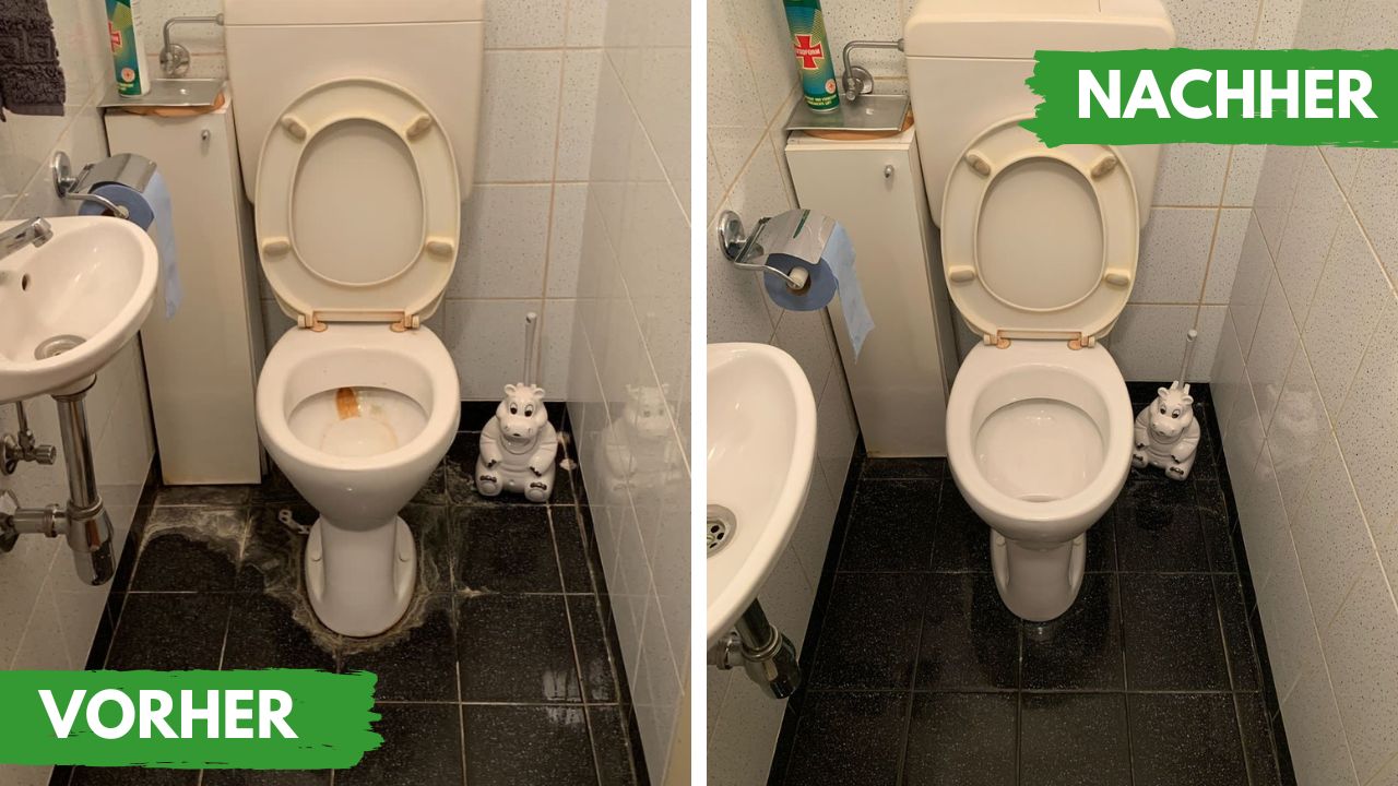 WC einigen ohne Chemie und mit einem Trockendampfreiniger